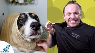 Simple Hacks To Bath Your Dog  Professional Dog Training Tips [upl. by Harias]