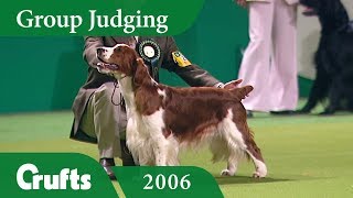 Welsh Springer Spaniel wins Gundog Group Judging at Crufts 2006 [upl. by Carolan]