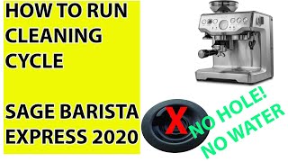 SAGE BARISTA EXPRESS CLEANING CYCLE 2019 ONWARDS [upl. by Lal]