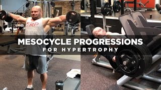 Mesocycle Progressions for Hypertrophy  Dr Mike Israetel [upl. by Anaic]