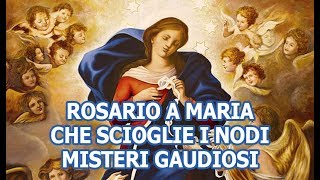 Rosario a Maria che scioglie i nodi  Misteri Gaudiosi [upl. by Lonni413]