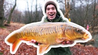 How To Catch Carp with CORN [upl. by Rupert]