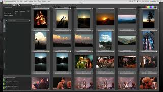 Get started with Photo Mechanic Plus [upl. by Assirat892]