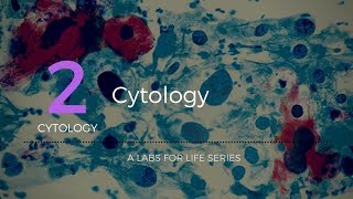 Cytology [upl. by Nauqal237]