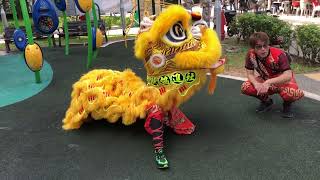 Lion Dance Yishun East Singapore 2024 [upl. by Swanhildas]