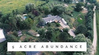 the 5 Acre Permaculture Homestead  Unbelievable Abundance [upl. by Atnod]