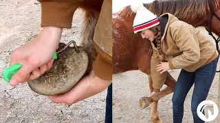 How To Clean A Horses Hooves The Easy Way [upl. by Eenitsed569]