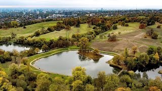 Hampstead Heath Ponds [upl. by Erfert]