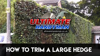 How to trim a large hedge [upl. by Dimitry610]