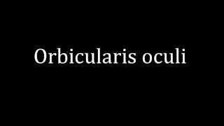 How to pronounce Orbicularis oculi [upl. by Winne]