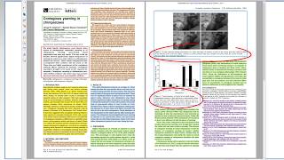 The Structure of Scientific Research Papers [upl. by Rramahs]