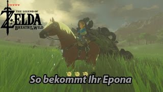 So bekommt Ihr Epona Zelda Breath of the Wild DominoDuo Deutsch [upl. by Enimsaj]