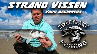 Strand vissen voor beginners  Zeebaars [upl. by Ettelorahc]