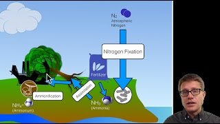 Biogeochemical Cycles [upl. by Egroj169]