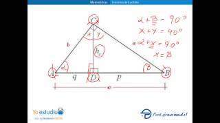 Teorema de Euclides [upl. by Latoya]