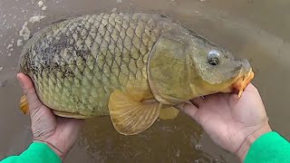 Keep It Simple Carp Fishing  Easy Method For Catching Carp [upl. by Ahsikym]