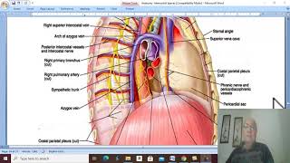 Respiratory Module 21  Azygos veins by Dr Wahdan [upl. by Noek]