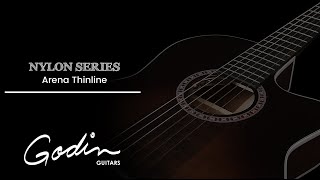 Godin Arena Series [upl. by Silvano]