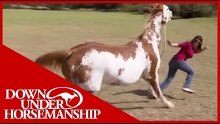 Once Bitten Twice Shy How to Train a Dangerous Dominant Horse [upl. by Eimareg]