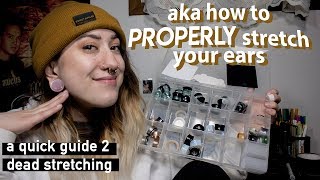 a 101 guide on stretched ears [upl. by Autry]