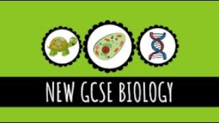 Pathogens and Disease  91 GCSE Biology [upl. by Einegue912]