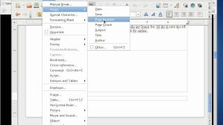 HOWTO Insert page numbers in LibreOffice [upl. by Atinad757]