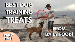 BEST Treats For Dog Training  Natural amp Daily Food That You Can Use [upl. by Anoved]