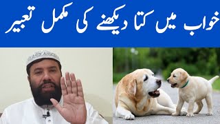 Khwab mein kutta dekhna  dog dream meaning  khwab mein kutta dekhne ki tabeerخواب میں کتا دیکھنا [upl. by Danzig273]