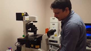 Confocal Microscopy Tutorial Part 1 Getting Started  Basic Operation [upl. by Jeni245]