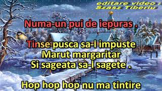 Colind  Marut margaritar karaoke [upl. by Acnaiv8]