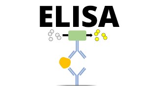 ELISA Enzymelinked Immunosorbent Assay [upl. by Ardnuhs77]