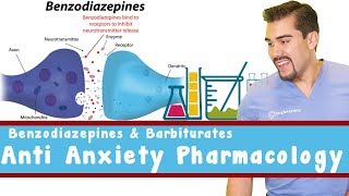 Anti Anxiety Pharmacology Benzodiazepines and Barbiturates [upl. by Ait619]