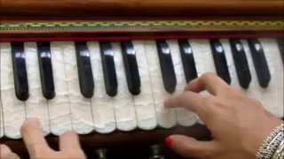 Parts and functioning of the harmonium basics overview [upl. by Nomrac648]