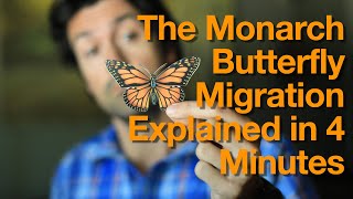 Monarch Butterfly Migration Explained in 4 Minutes [upl. by Kurtis]