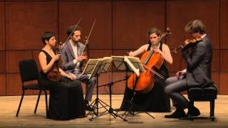 Beethoven String Quartet Op 132 in A Minor  Ariel Quartet full [upl. by Lincoln]