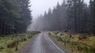 Dartmoor Devon Wild Camp [upl. by Mufinella]