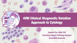 【Veterinary Cytology】Approach to Cytology [upl. by Andras15]