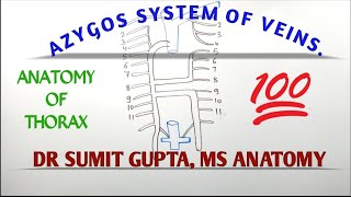 AZYGOS SYSTEM OF VEIN [upl. by Verner]