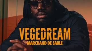 Vegedream  Tout Casser  Feat H Magnum [upl. by Allehcram991]