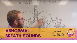 Abnormal Breath Sounds  Respiratory System [upl. by Noryahs]