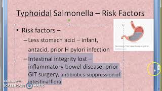 Microbiology 321 c Salmonella Typhoid Pathogenesis [upl. by Towland]