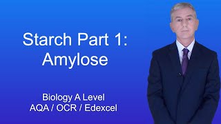 Structure Of Amylopectin  Biomolecules  Chemistry Class 12 [upl. by Rizan]