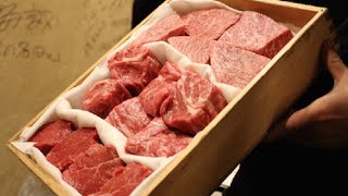 Japanese Wagyu amp Horumon Yakiniku Restaurant Experience [upl. by Manoop]