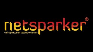 Netsparker Web vulnerability Scanner [upl. by Erelia]