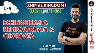 Echinodermata Hemichordata and Chordata  Animal Kingdom CBSE Class 11 Biology Chapter 4NEET 2020 [upl. by Nwonknu]