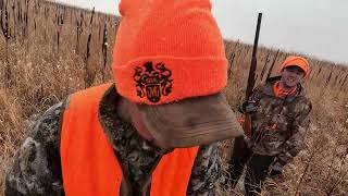 2023 Kansas Pheasant Hunt [upl. by Rieger89]