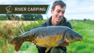 River Carp Fishing for BEAUTIFUL Carp [upl. by Gove]