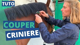 Raccourcir une crinière sans ciseaux et sans trimer 🐴✂️ [upl. by Blackmun612]