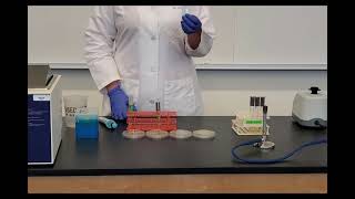 Lab 65 Plaque Assay [upl. by Ielirol]