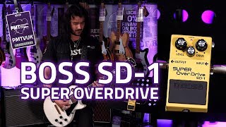 Boss SD1 Super OverDrive Pedal  One Of The Greatest Ever [upl. by Ariday890]